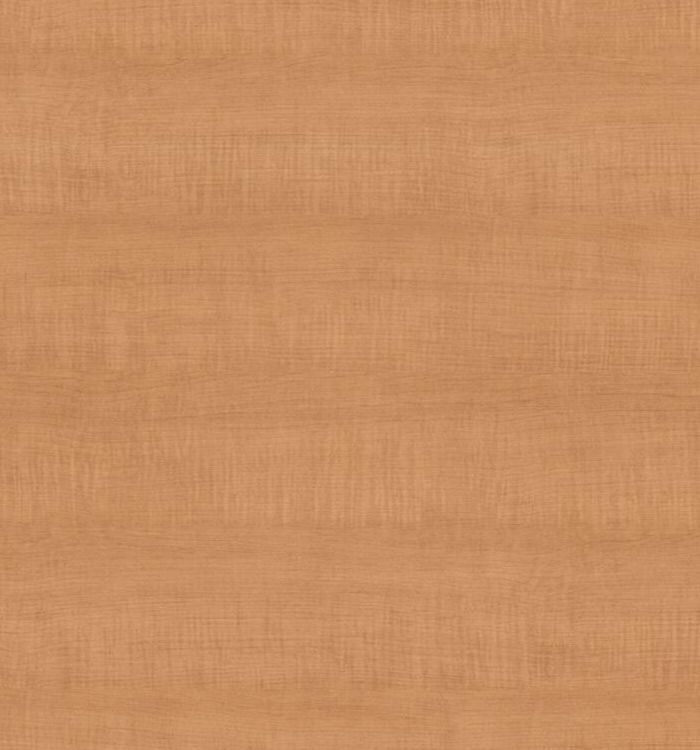 Read more about the article Monticello Maple
